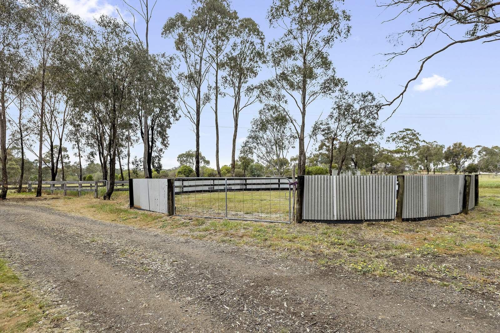 27 Wellsford Road, Longlea For Sale by Farmbuy.com - image 26
