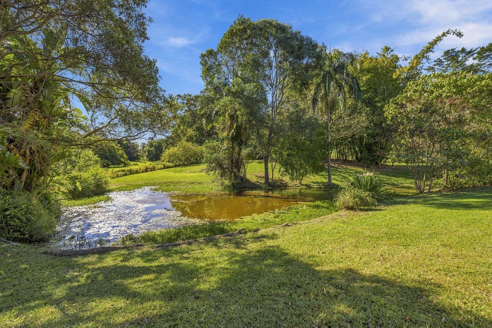 17 Saunders Drive, Cooran For Sale by Farmbuy.com - image 25