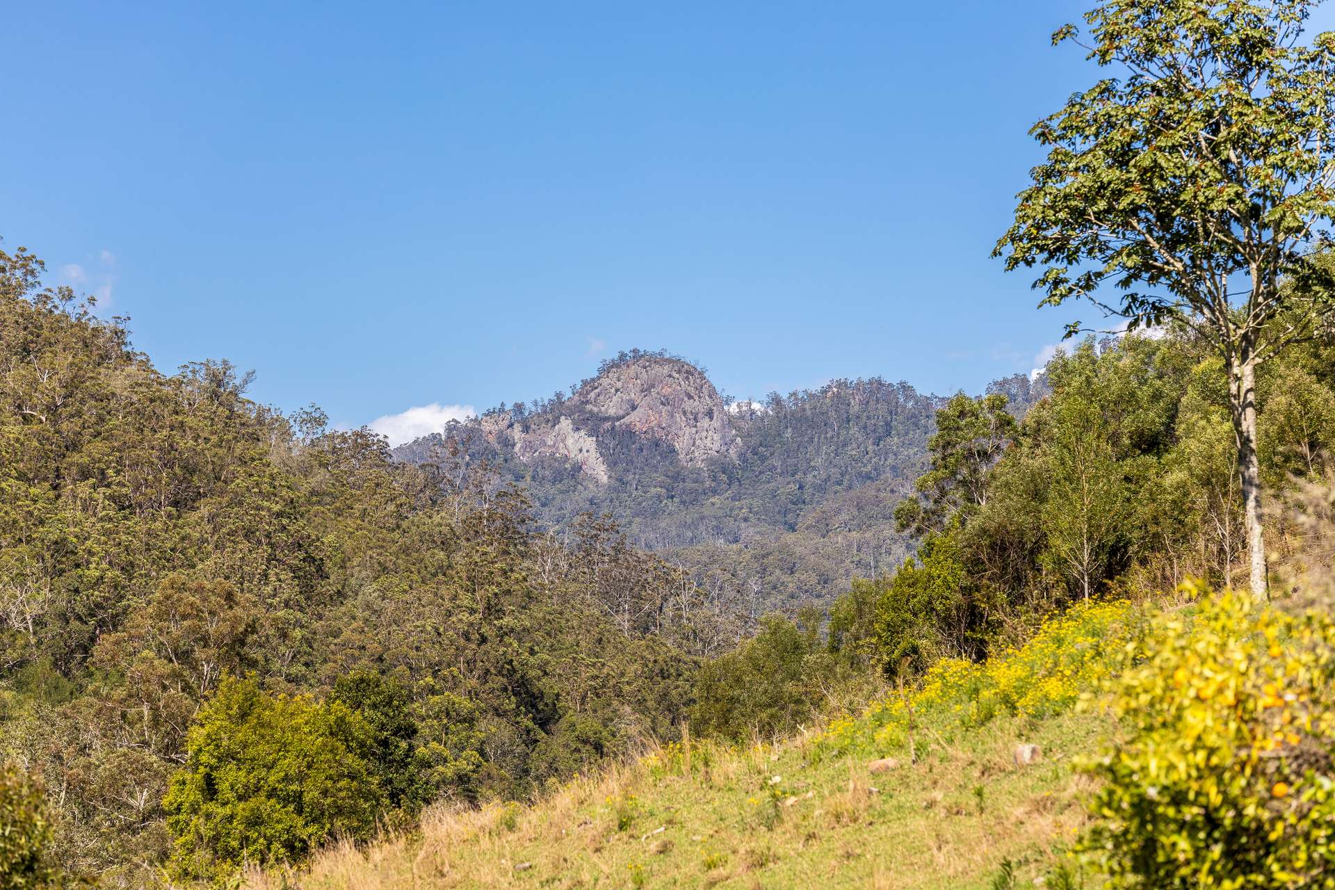134 Landslip Creek Road, Wherrol Flat Auction by Farmbuy.com - image 13