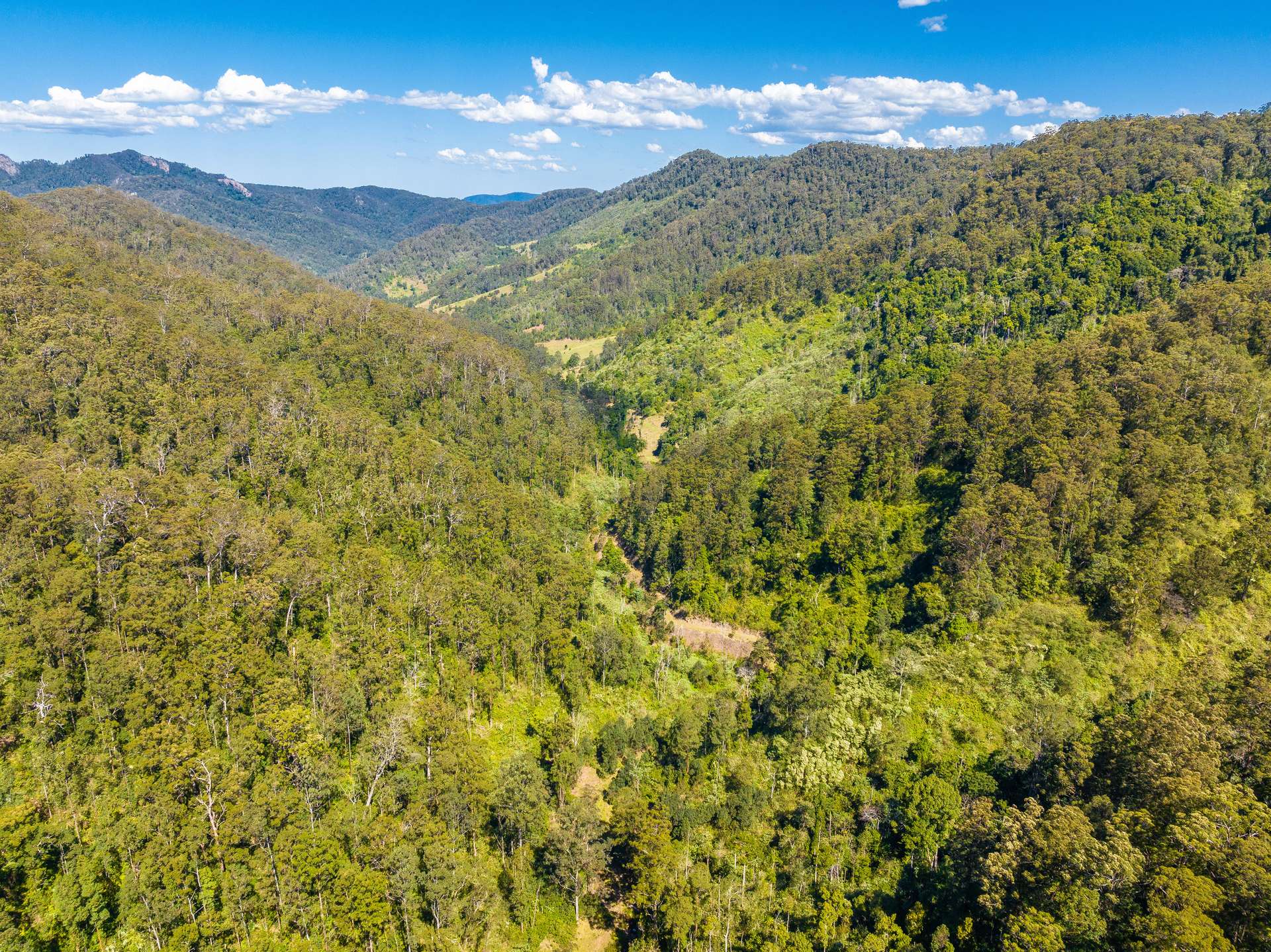 134 Landslip Creek Road, Wherrol Flat Auction by Farmbuy.com - image 26