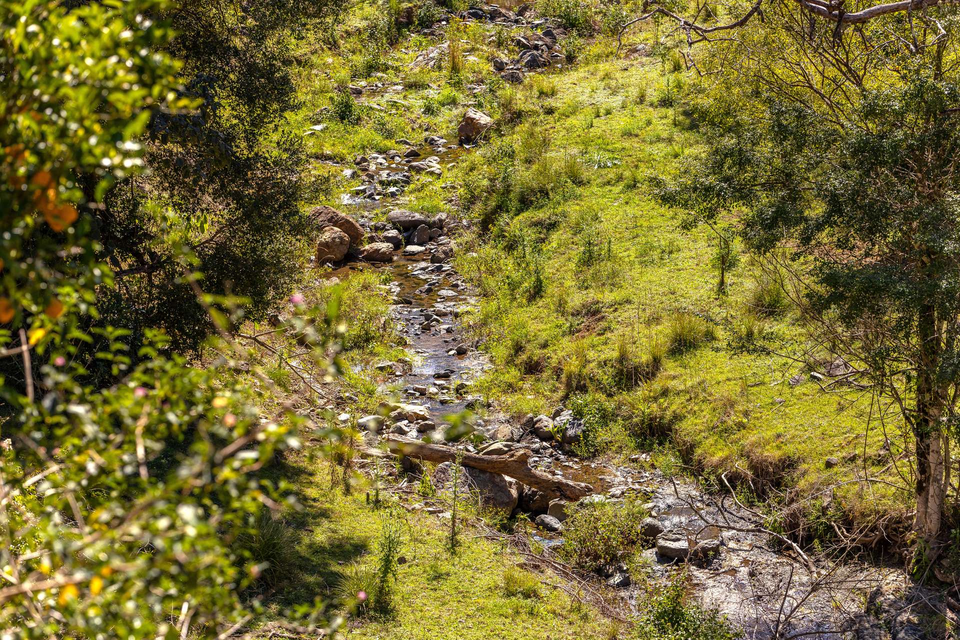 134 Landslip Creek Road, Wherrol Flat Auction by Farmbuy.com - image 7