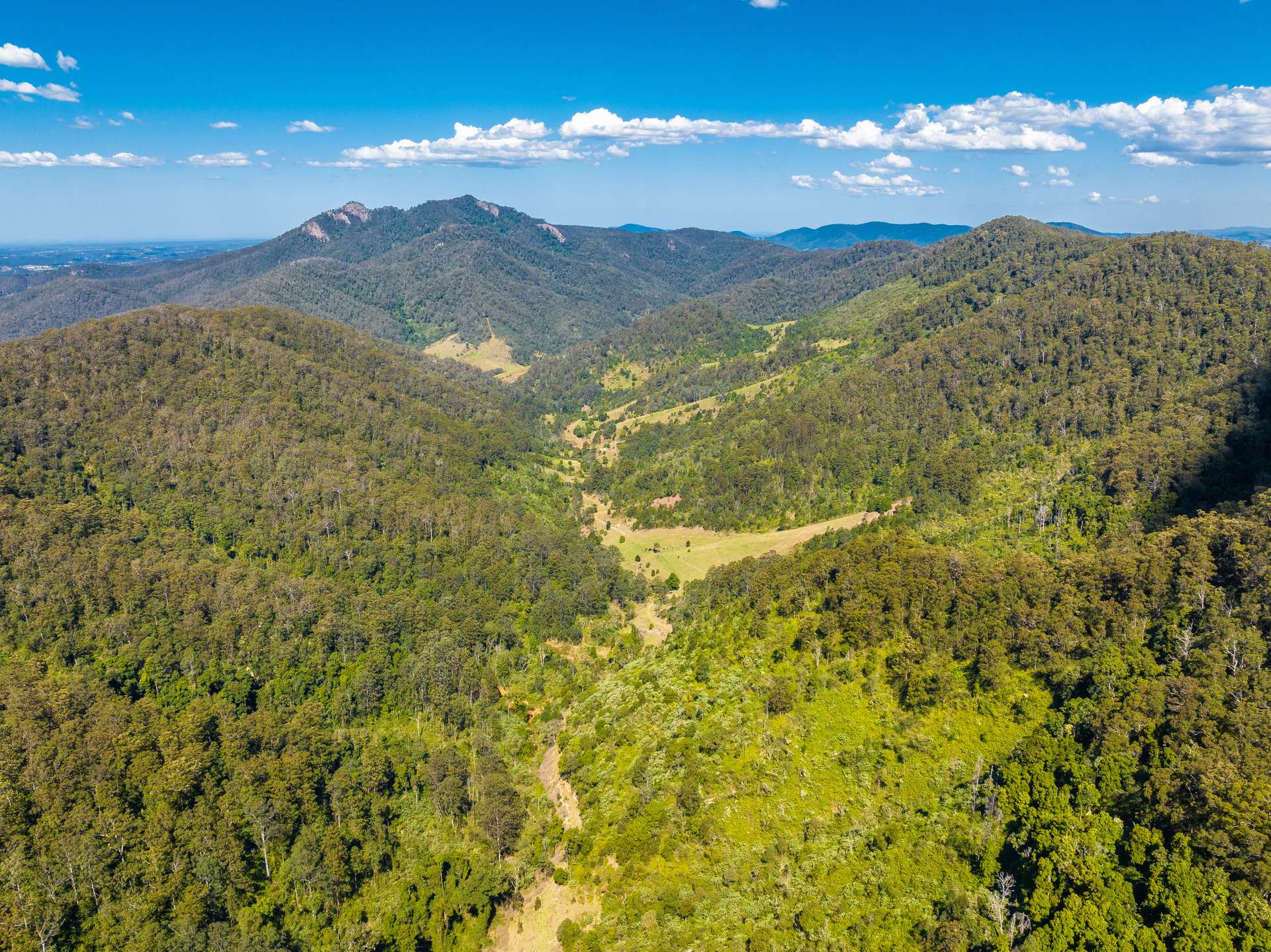 134 Landslip Creek Road, Wherrol Flat Auction by Farmbuy.com - image 28