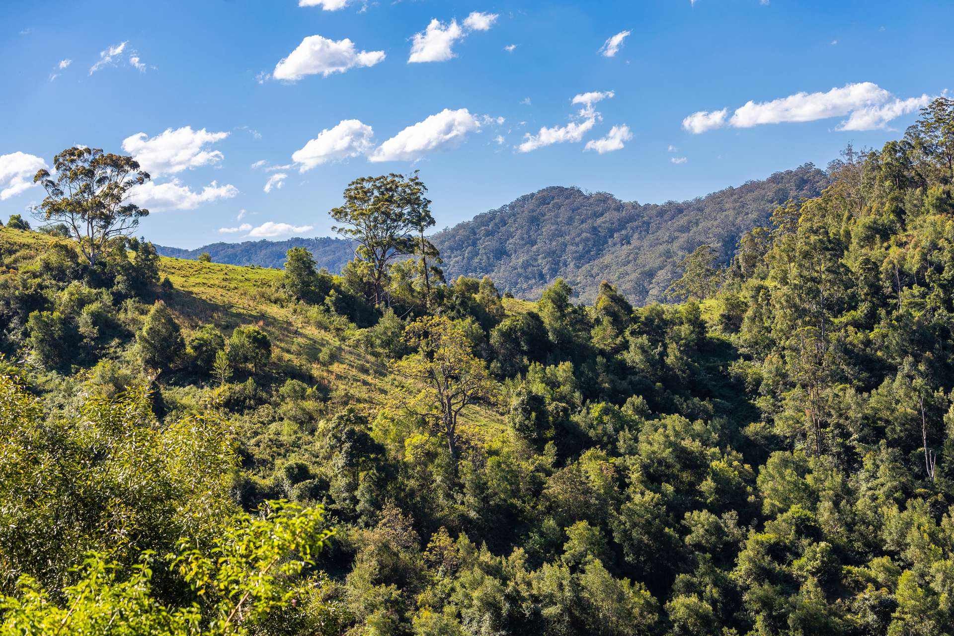 134 Landslip Creek Road, Wherrol Flat Auction by Farmbuy.com - image 25