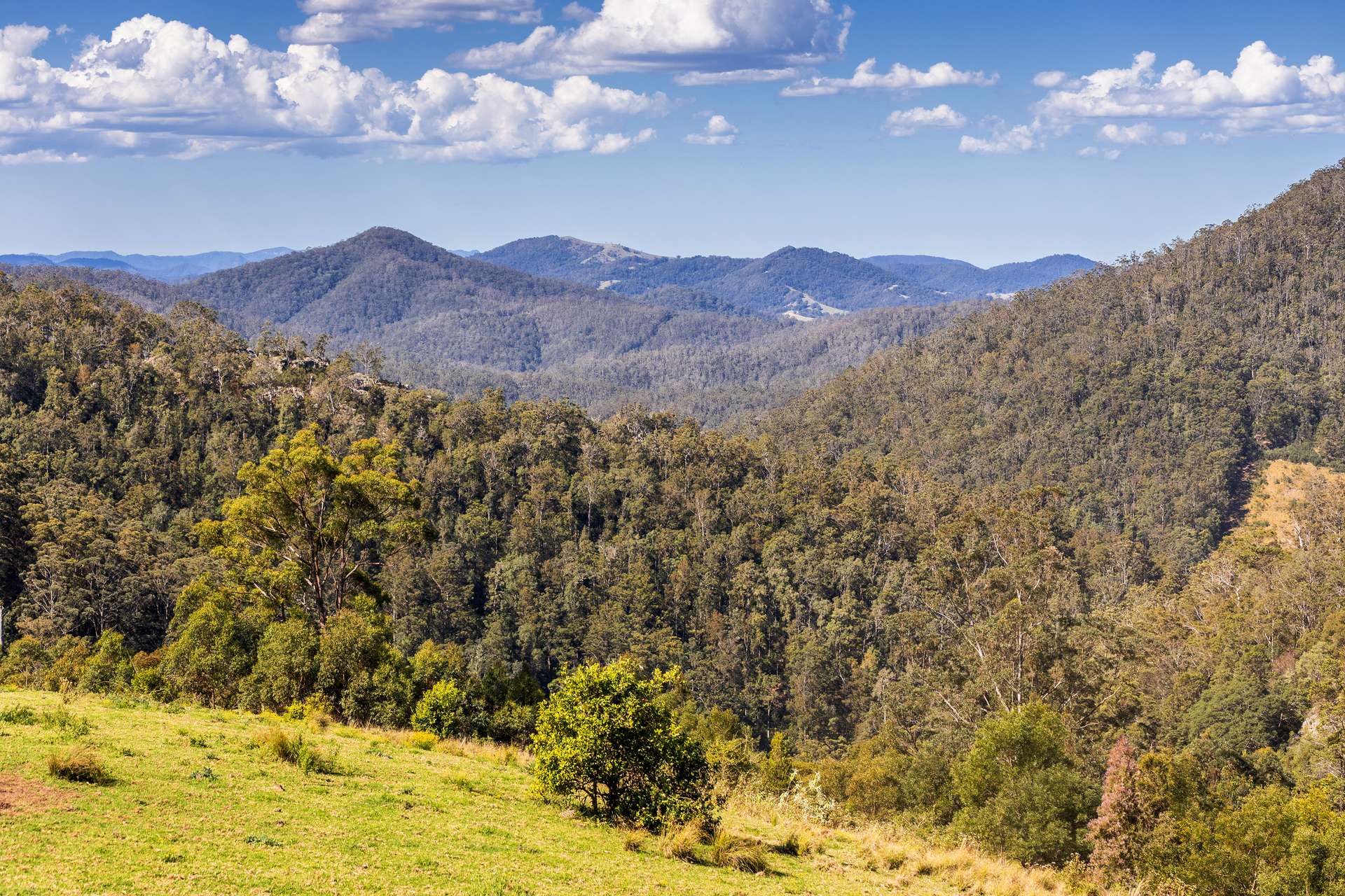 134 Landslip Creek Road, Wherrol Flat Auction by Farmbuy.com - image 19