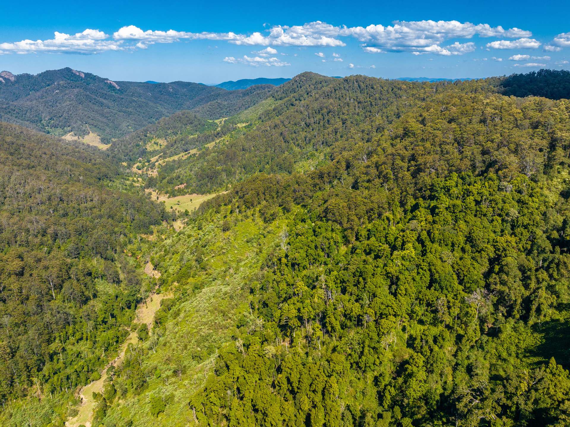 134 Landslip Creek Road, Wherrol Flat Auction by Farmbuy.com - image 27