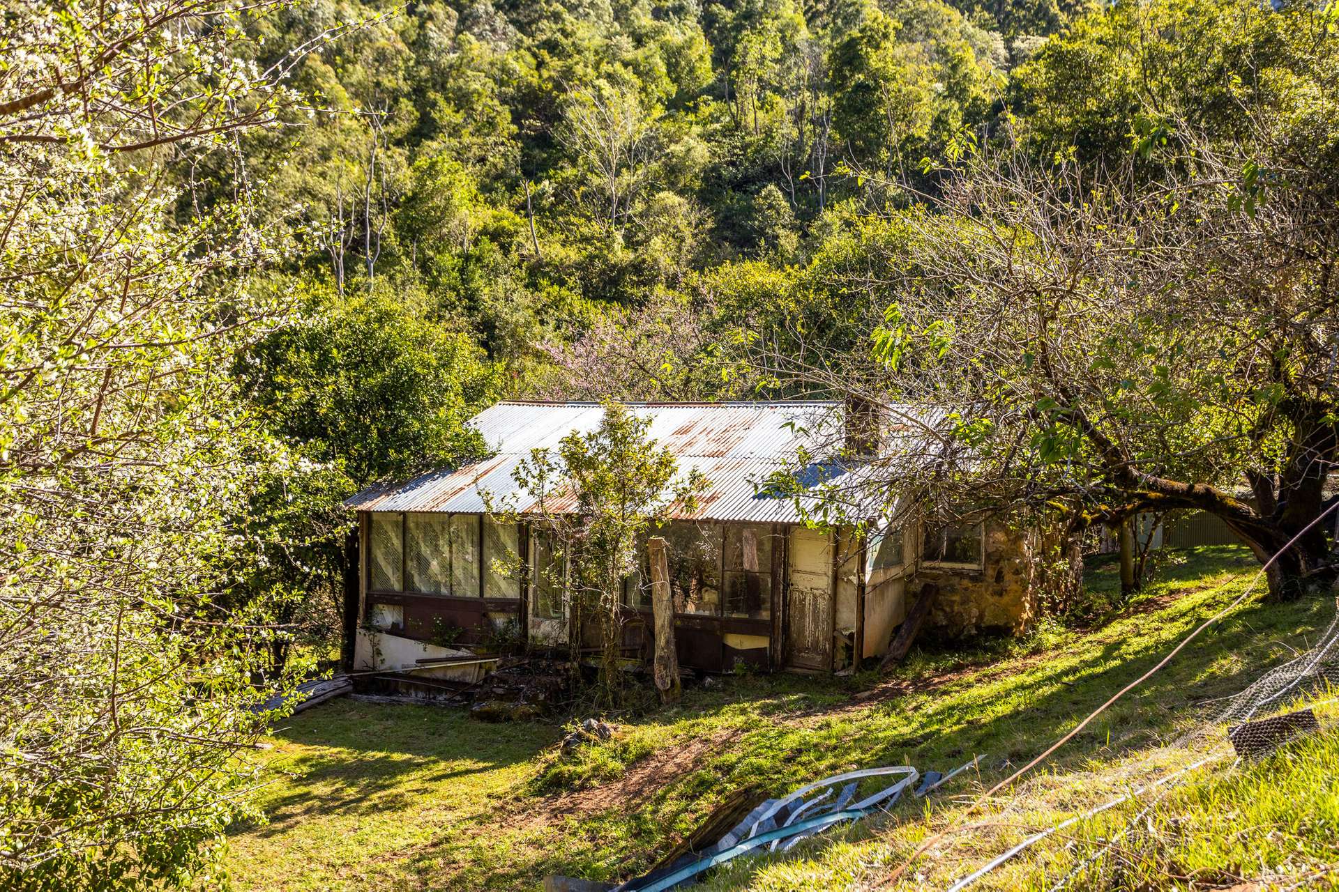 134 Landslip Creek Road, Wherrol Flat Auction by Farmbuy.com - image 2