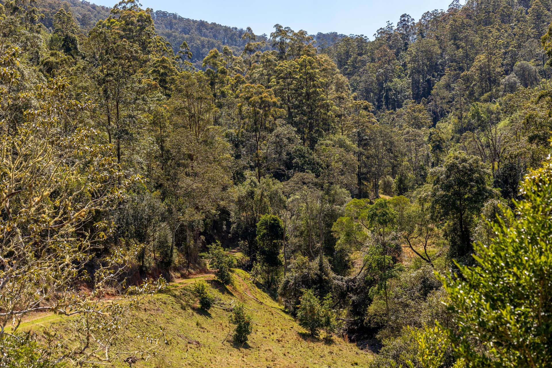 134 Landslip Creek Road, Wherrol Flat Auction by Farmbuy.com - image 6