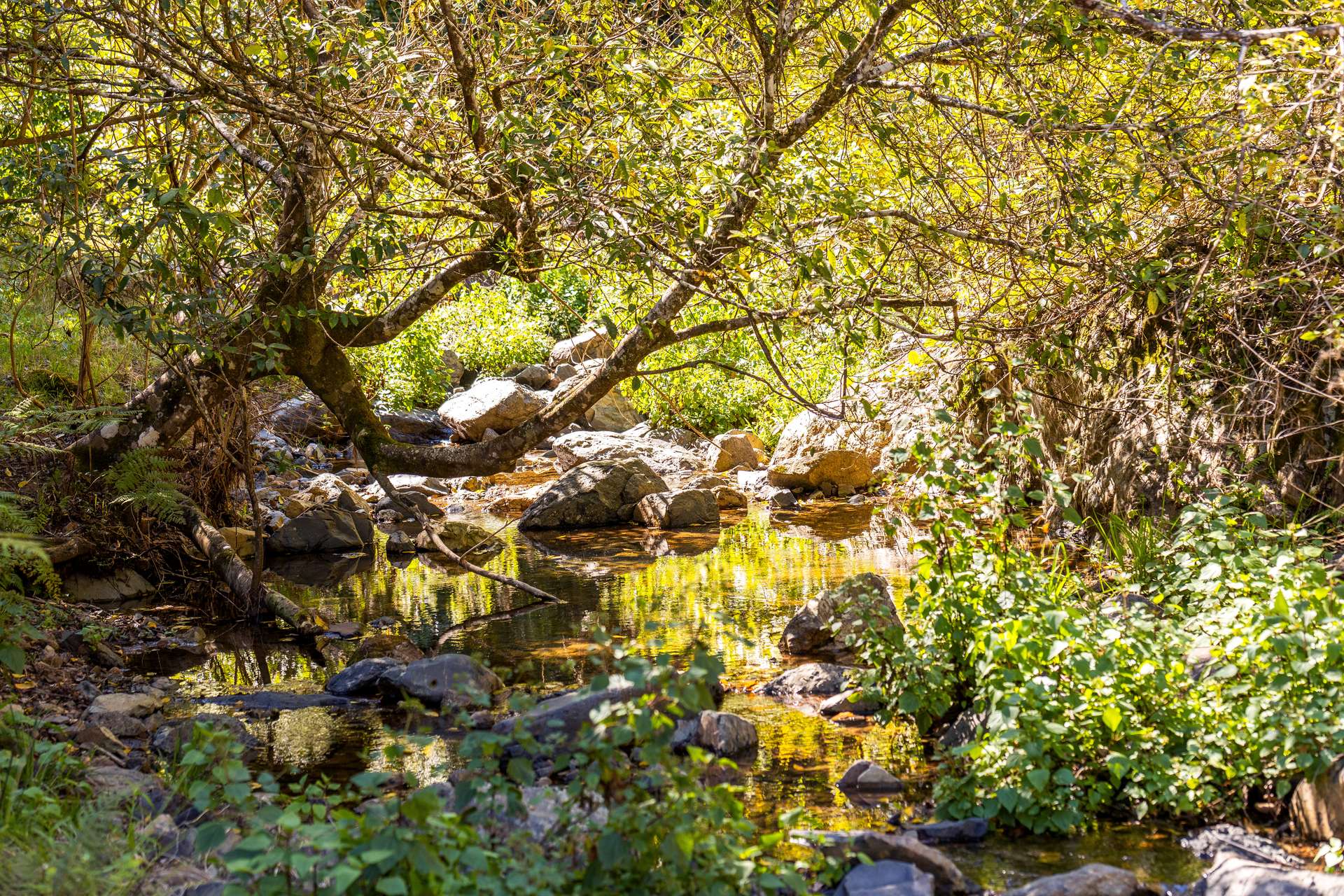 134 Landslip Creek Road, Wherrol Flat Auction by Farmbuy.com - image 15
