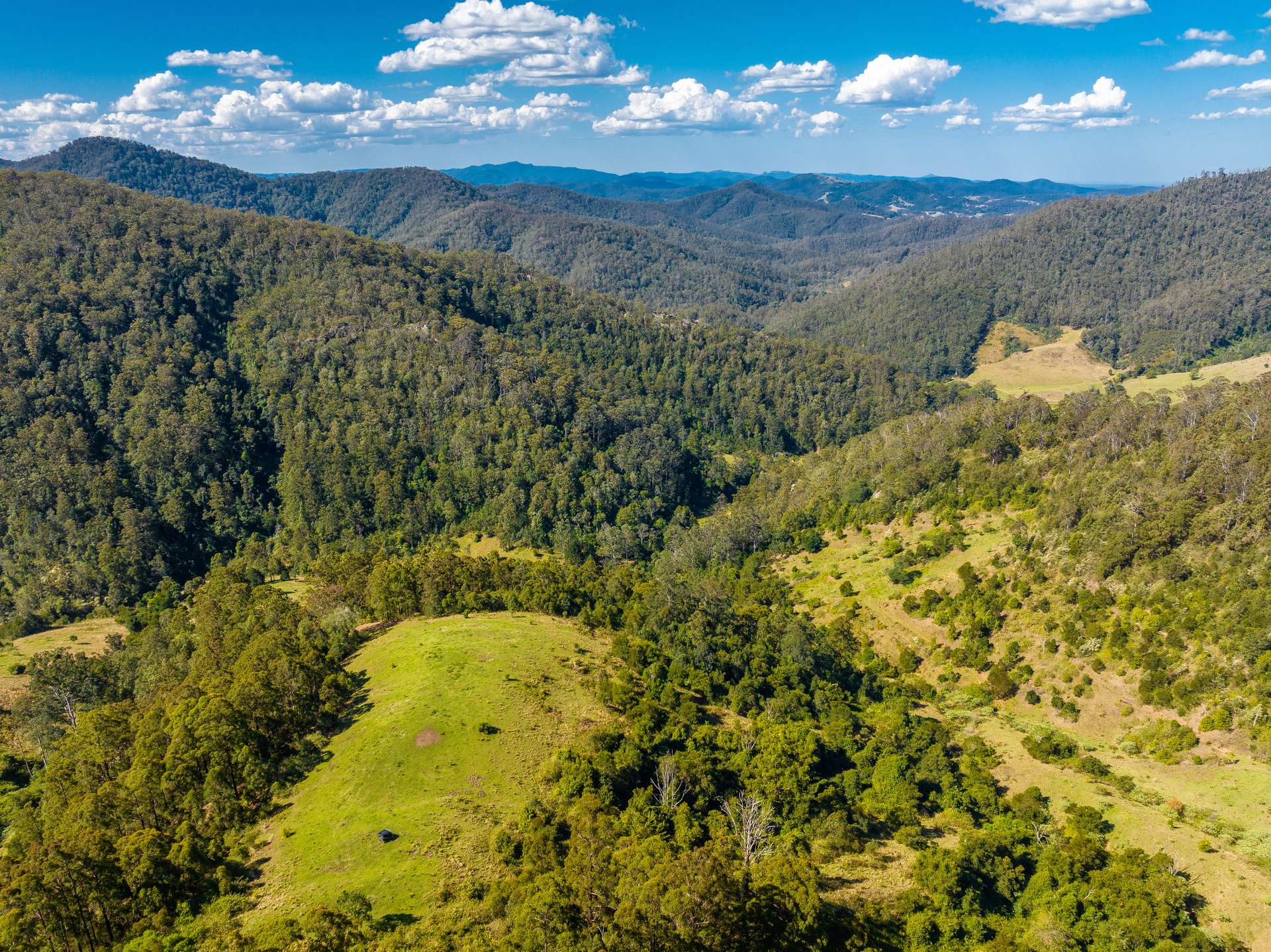 134 Landslip Creek Road, Wherrol Flat Auction by Farmbuy.com - image 30