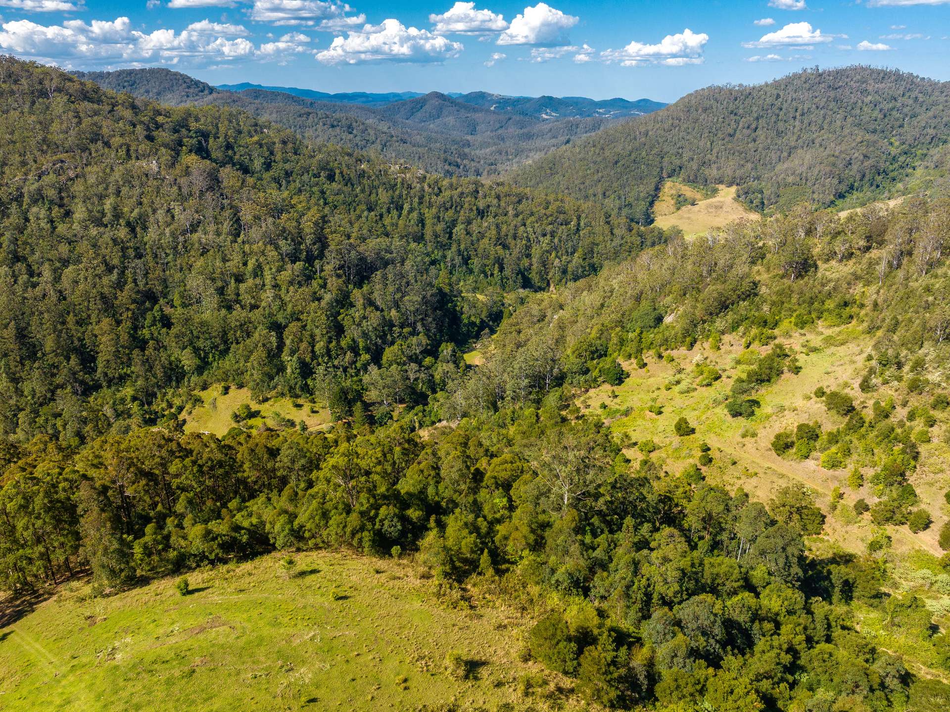 134 Landslip Creek Road, Wherrol Flat Auction by Farmbuy.com - image 33