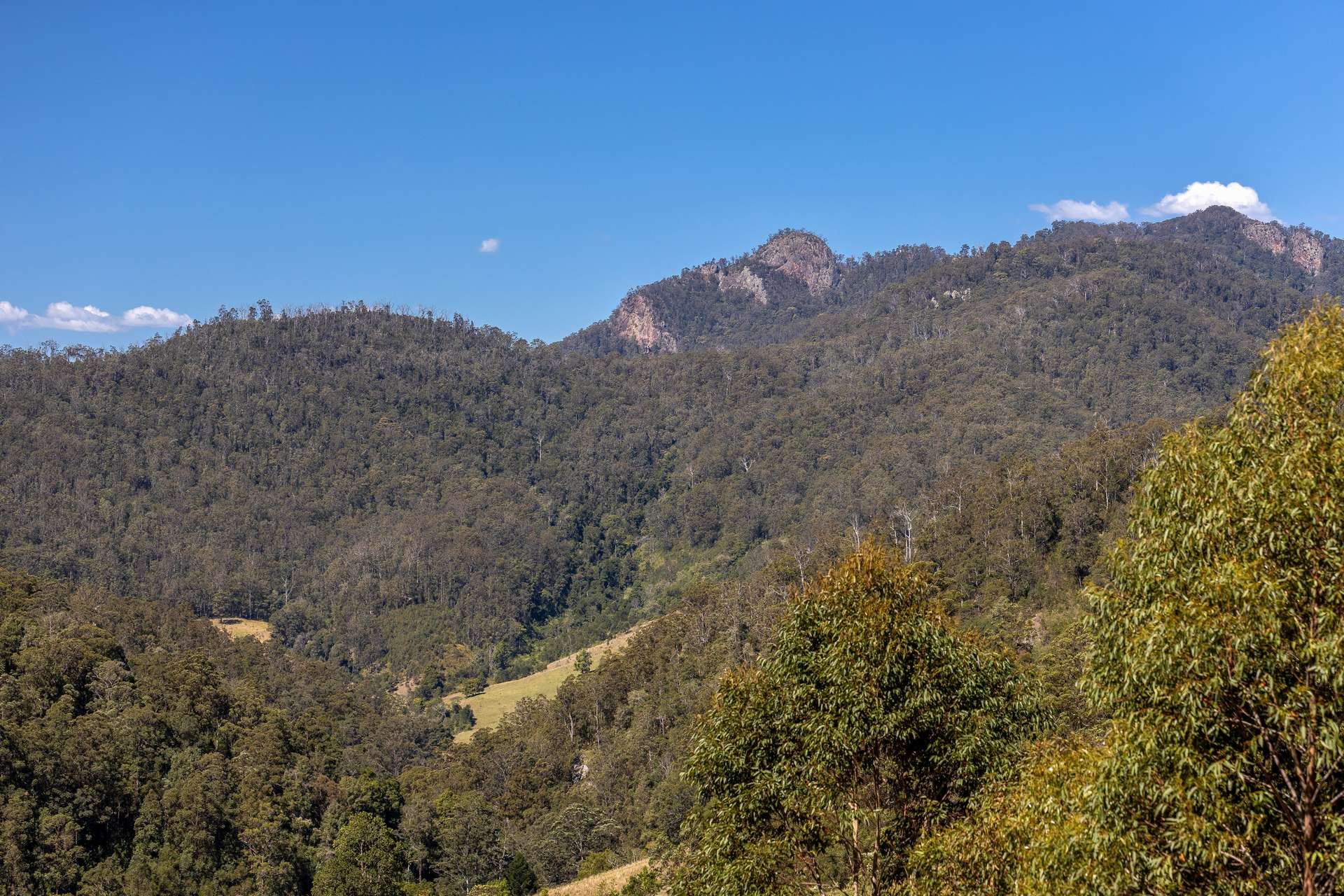 134 Landslip Creek Road, Wherrol Flat Auction by Farmbuy.com - image 5