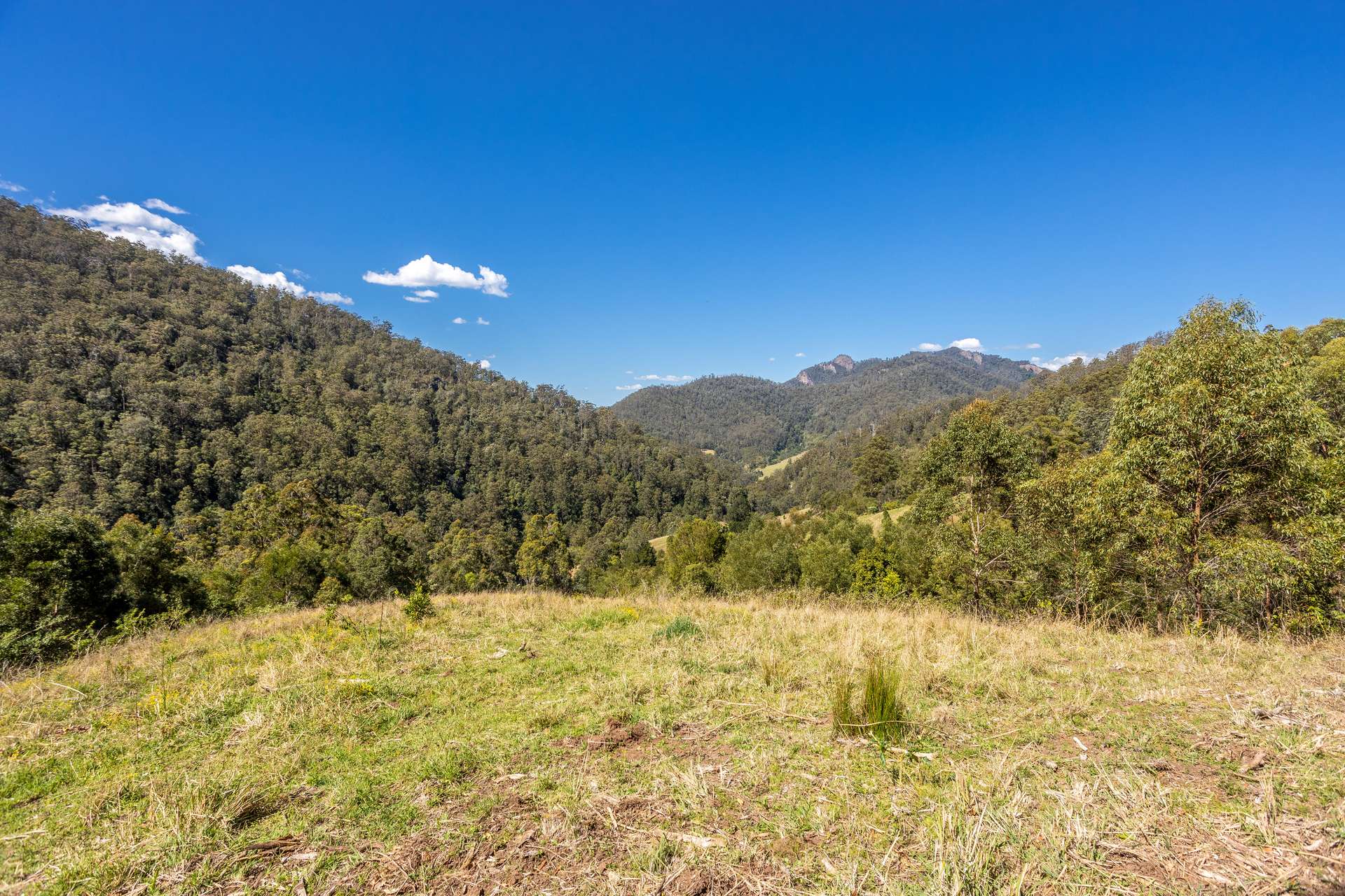 134 Landslip Creek Road, Wherrol Flat Auction by Farmbuy.com - image 4