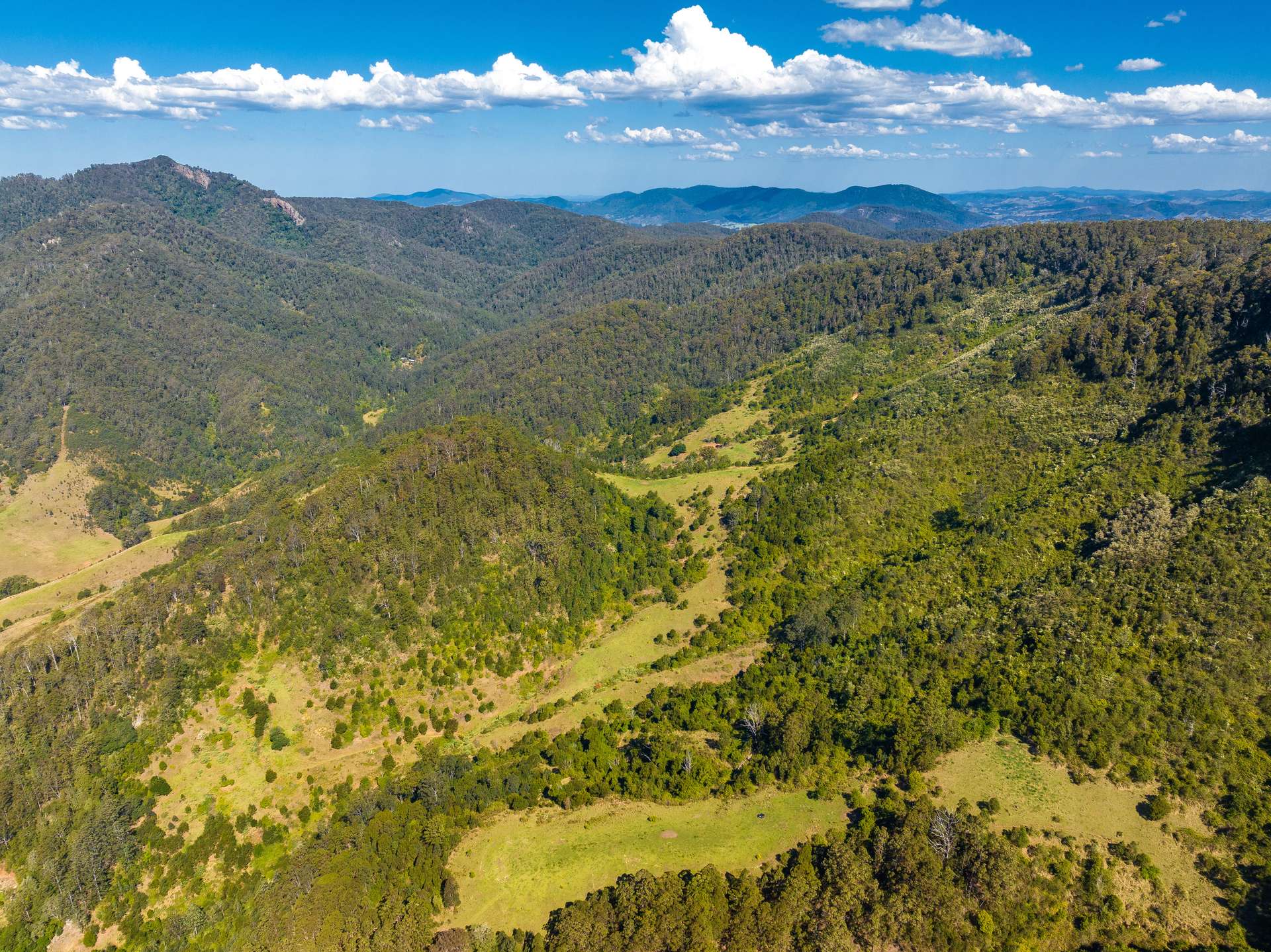 134 Landslip Creek Road, Wherrol Flat Auction by Farmbuy.com - image 32