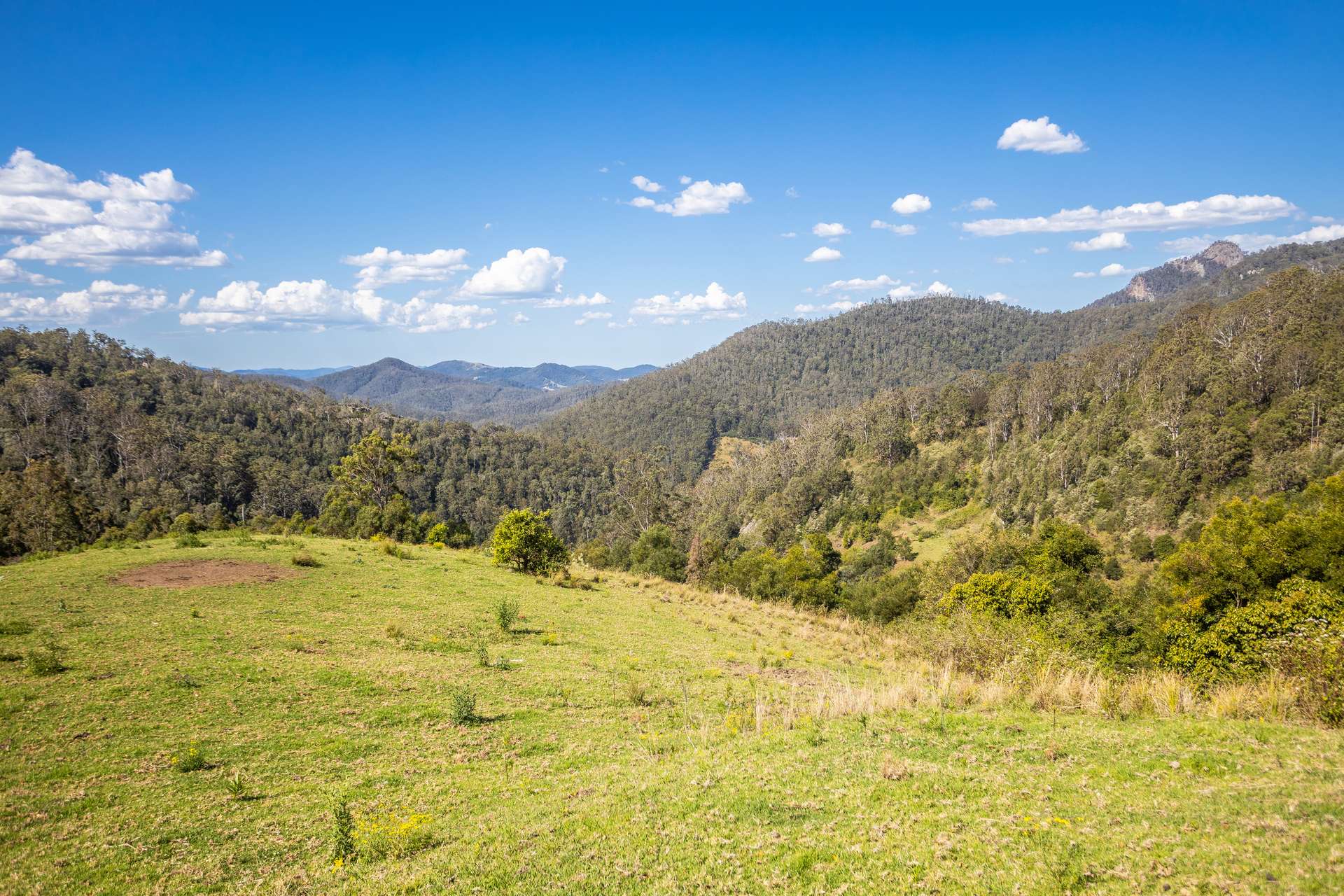 134 Landslip Creek Road, Wherrol Flat Auction by Farmbuy.com - image 20