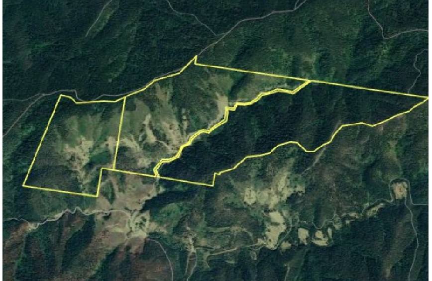 134 Landslip Creek Road, Wherrol Flat Auction by Farmbuy.com - image 34