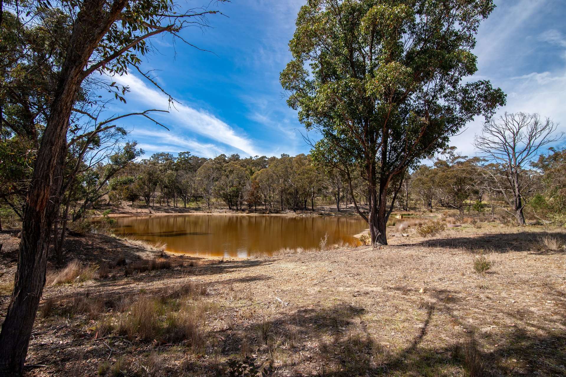 250 Tiyces Lane, Goulburn Auction by Farmbuy.com - image 19