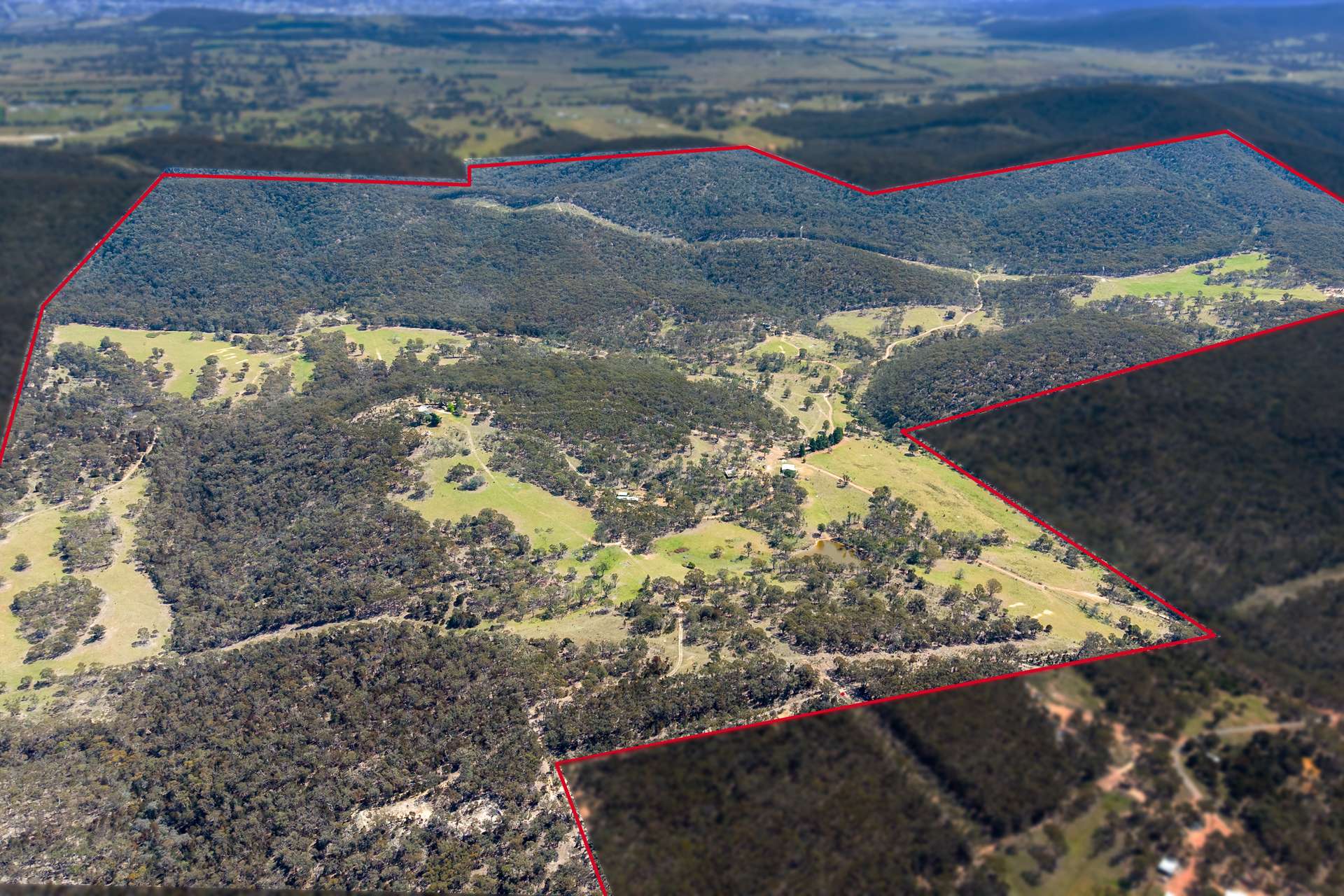 250 Tiyces Lane, Goulburn Auction by Farmbuy.com - image 22