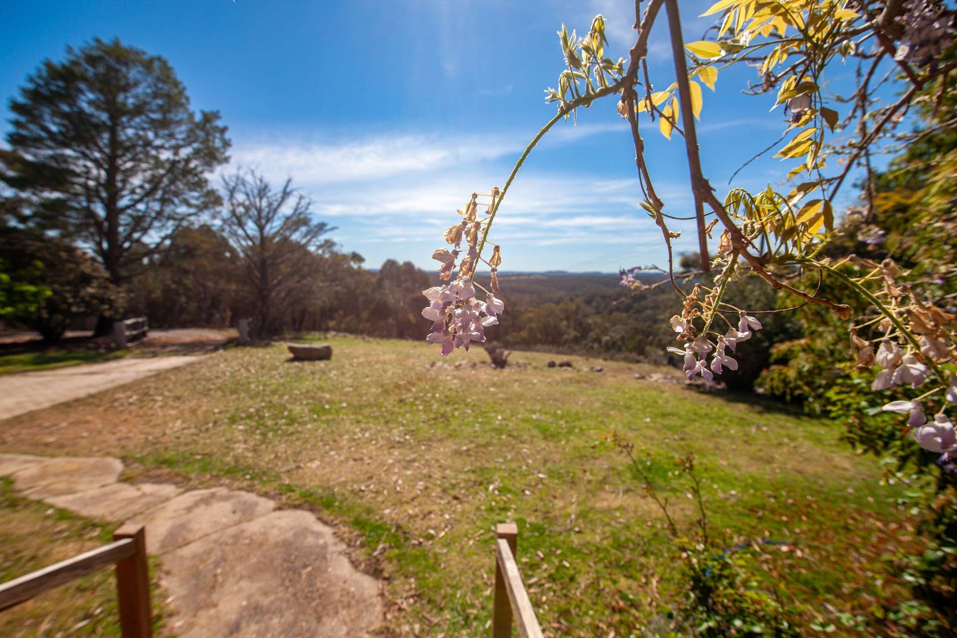 250 Tiyces Lane, Goulburn Auction by Farmbuy.com - image 14