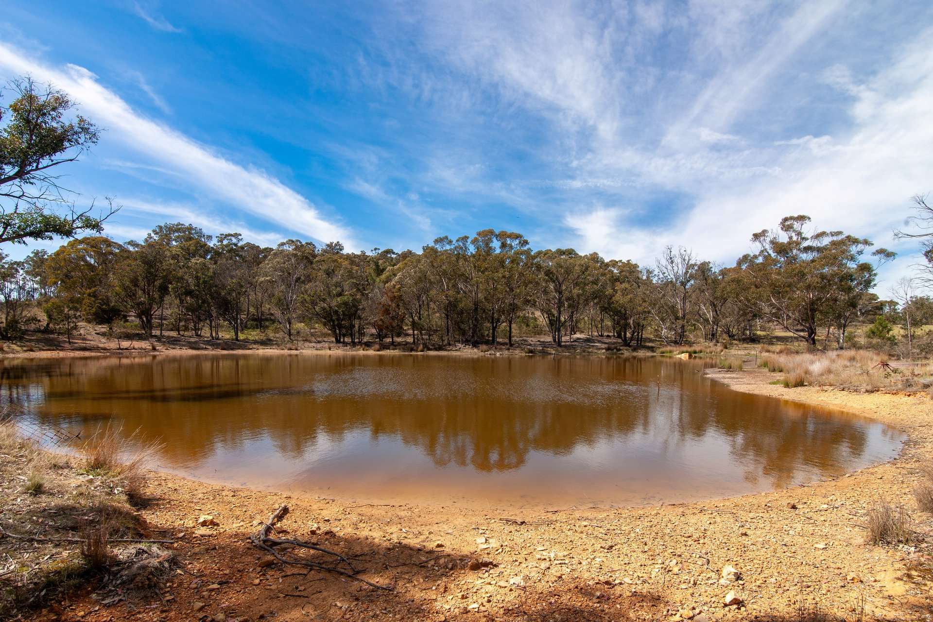 250 Tiyces Lane, Goulburn Auction by Farmbuy.com - image 17