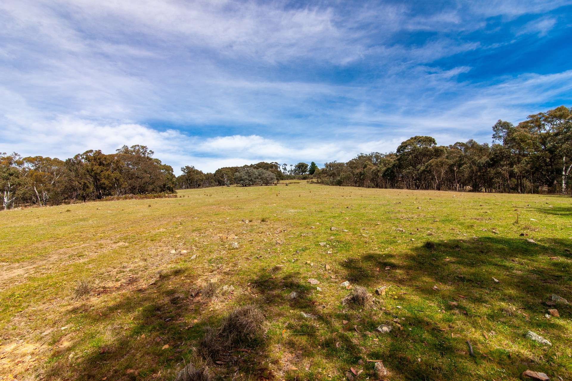 250 Tiyces Lane, Goulburn Auction by Farmbuy.com - image 18