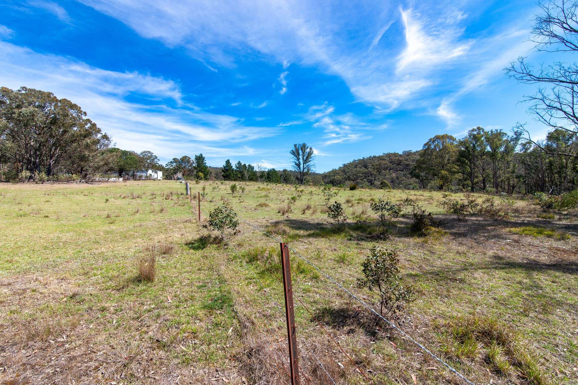 250 Tiyces Lane, Goulburn Auction by Farmbuy.com - image 21