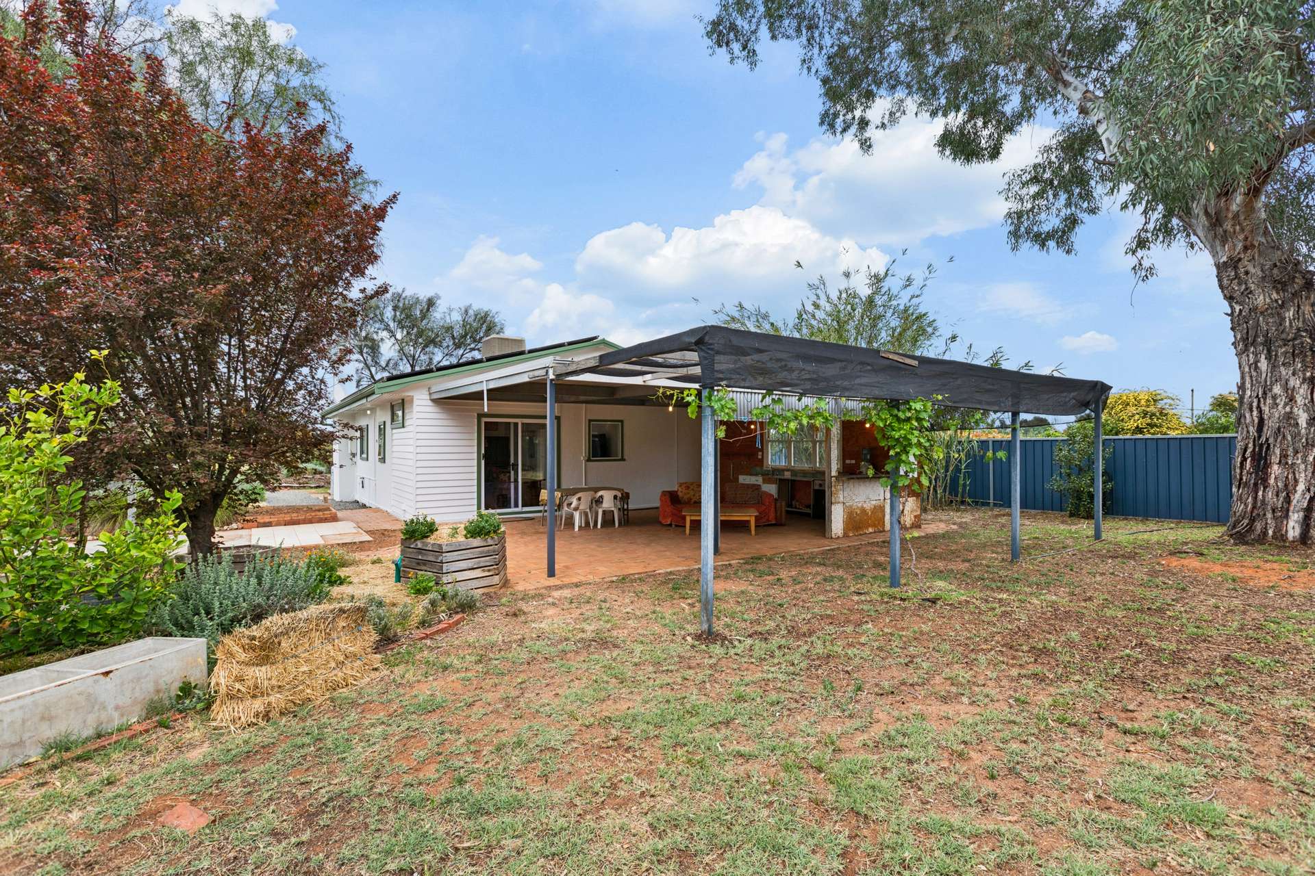 997 Irymple Avenue, Irymple For Sale by Farmbuy.com - image 18