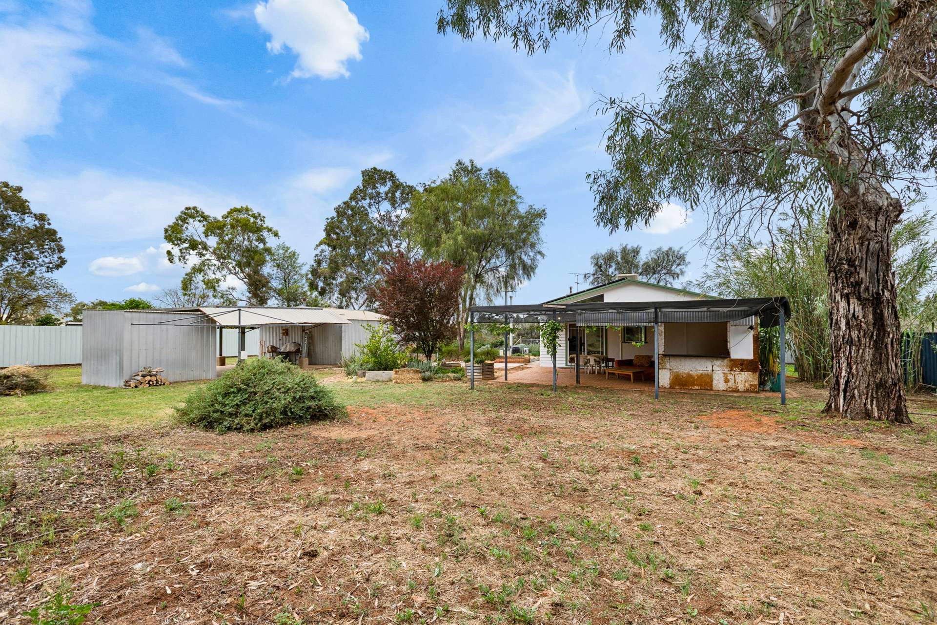 997 Irymple Avenue, Irymple For Sale by Farmbuy.com - image 20