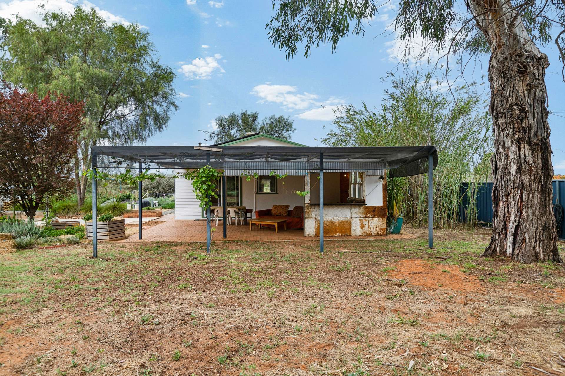 997 Irymple Avenue, Irymple For Sale by Farmbuy.com - image 19