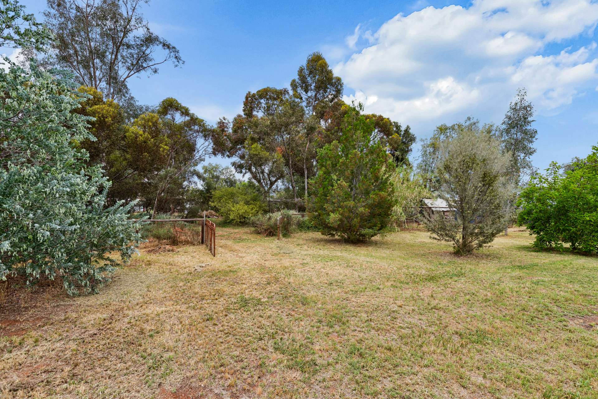 997 Irymple Avenue, Irymple For Sale by Farmbuy.com - image 6
