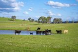 680 Fish River Road NARRAWA VIA, Crookwell For Sale by Ray White Goulburn