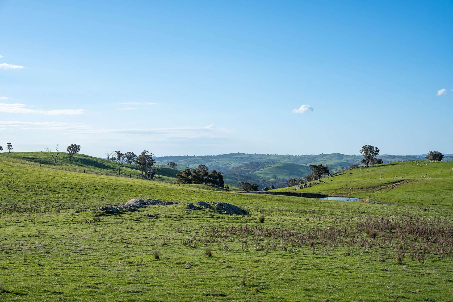680 Fish River Road NARRAWA VIA, Crookwell For Sale by Farmbuy.com - image 25