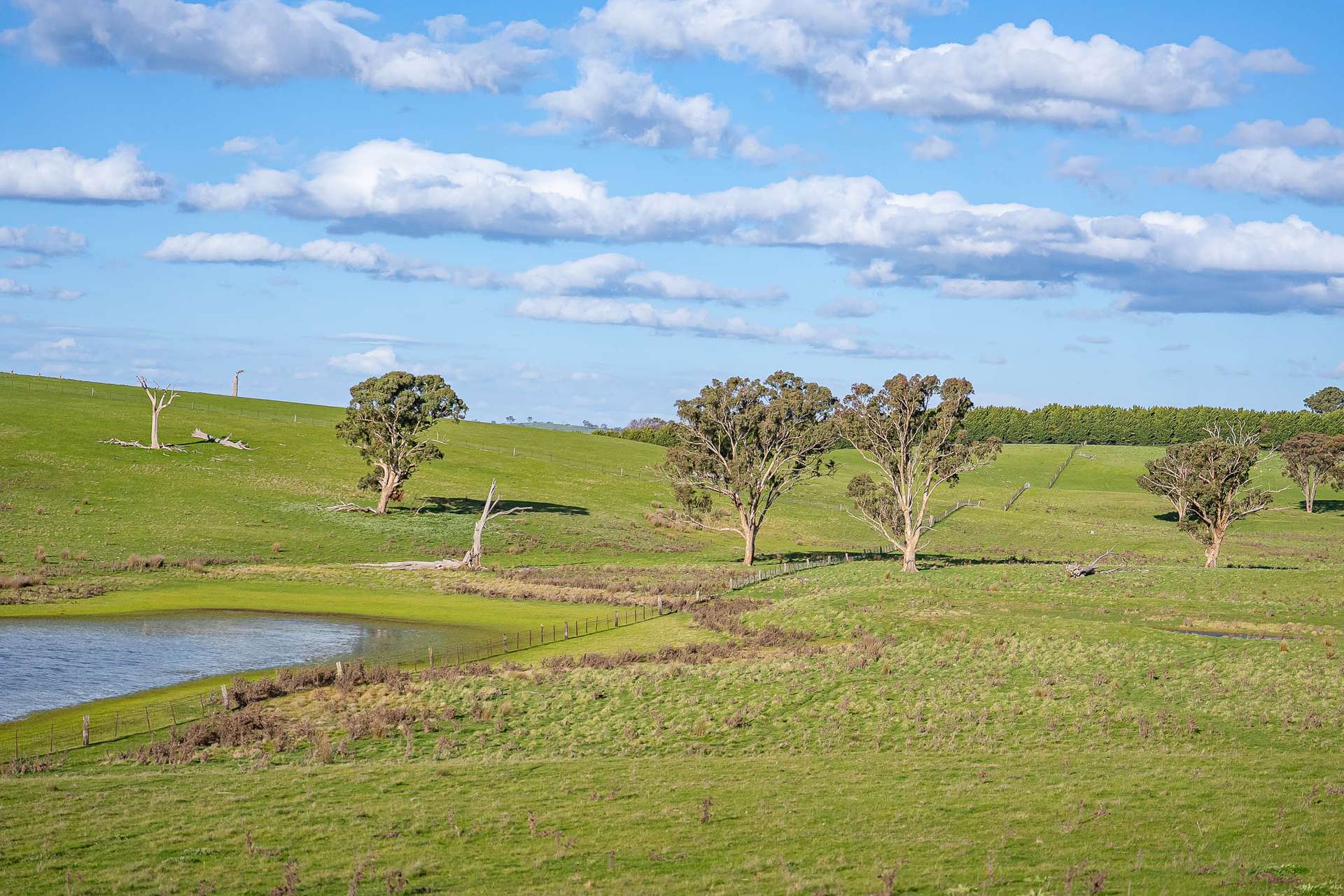 680 Fish River Road NARRAWA VIA, Crookwell For Sale by Farmbuy.com - image 15