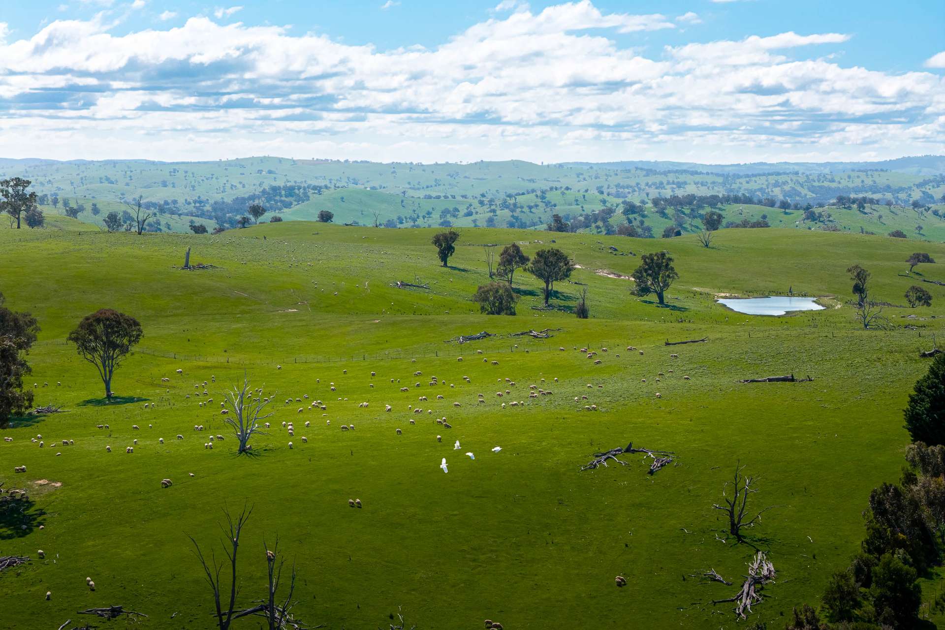 680 Fish River Road NARRAWA VIA, Crookwell For Sale by Farmbuy.com - image 9