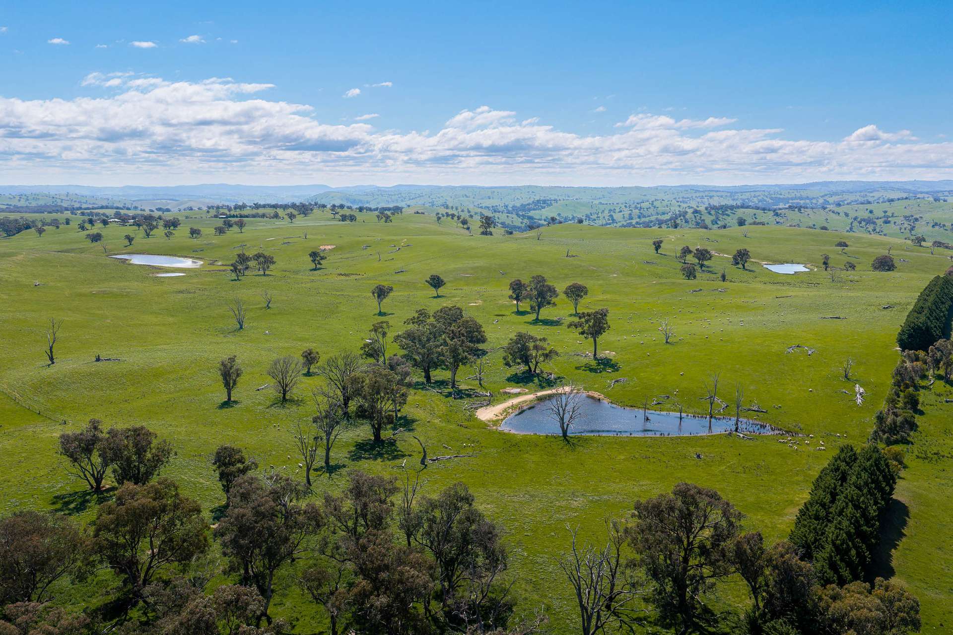 680 Fish River Road NARRAWA VIA, Crookwell For Sale by Farmbuy.com - image 13