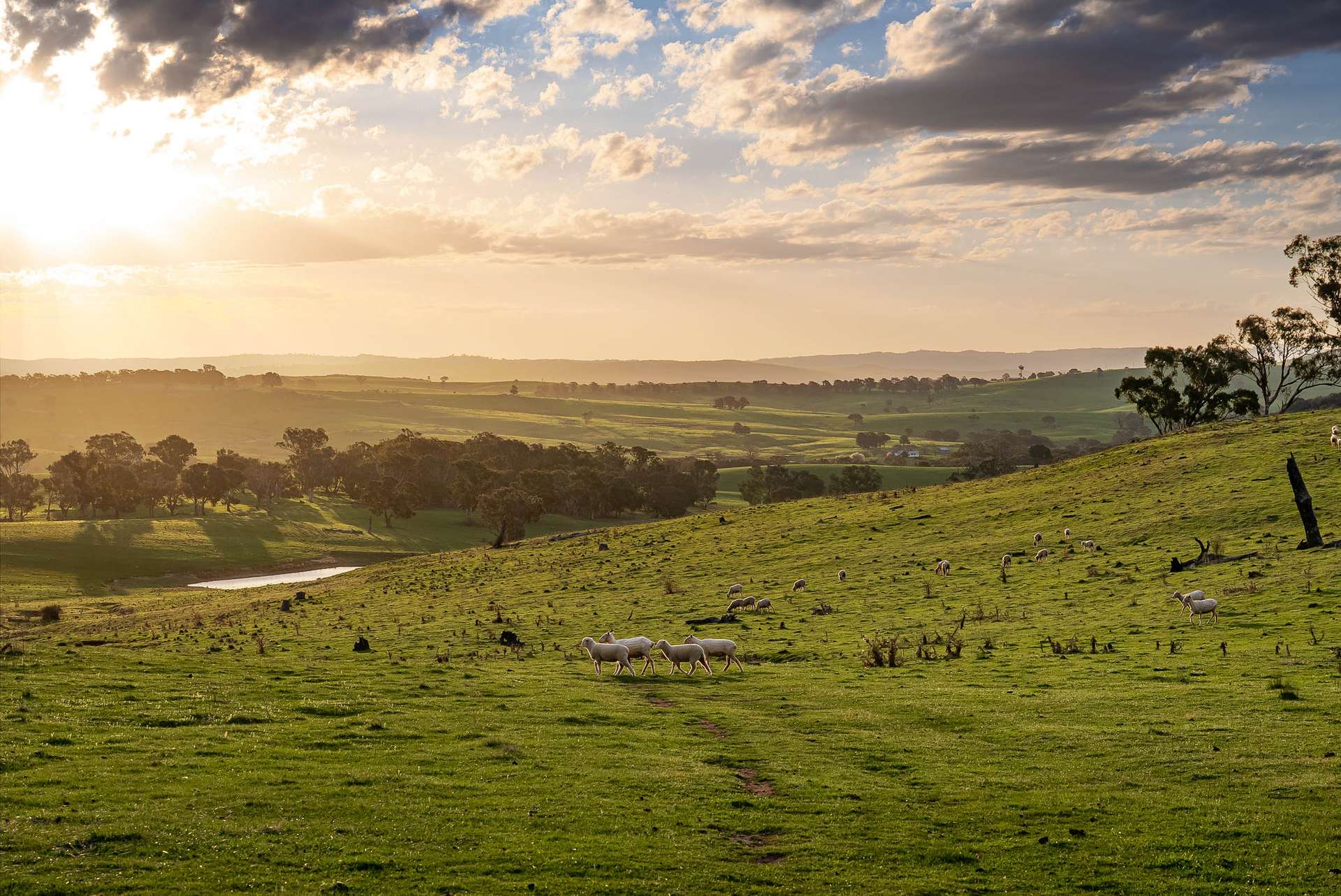 680 Fish River Road NARRAWA VIA, Crookwell For Sale by Farmbuy.com - image 2