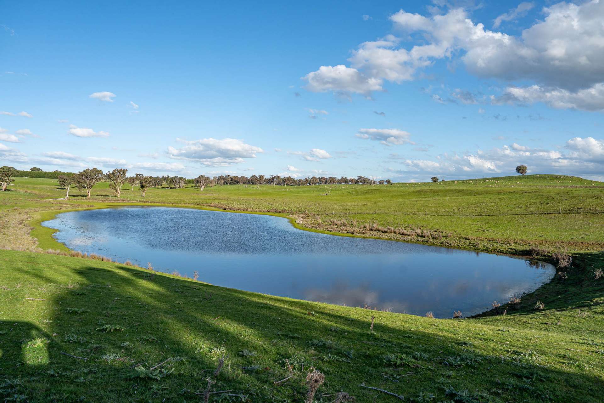 680 Fish River Road NARRAWA VIA, Crookwell For Sale by Farmbuy.com - image 12