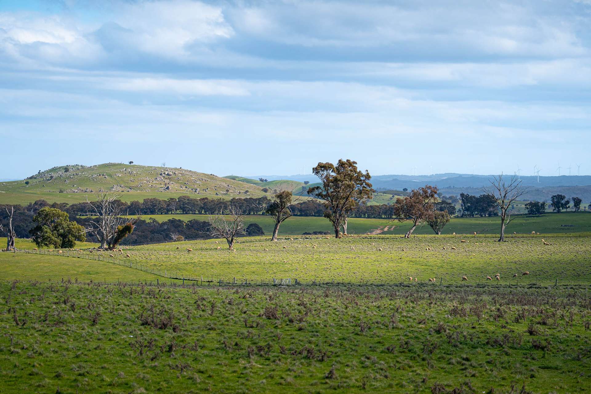 680 Fish River Road NARRAWA VIA, Crookwell For Sale by Farmbuy.com - image 23