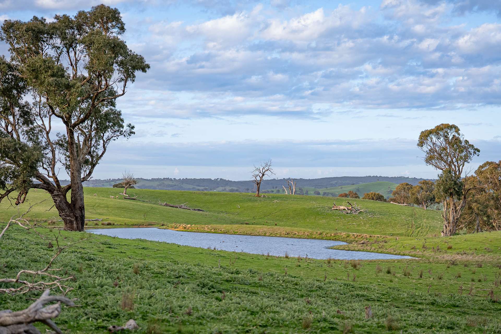680 Fish River Road NARRAWA VIA, Crookwell For Sale by Farmbuy.com - image 14