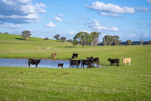 680 Fish River Road NARRAWA VIA, Crookwell NSW 2583