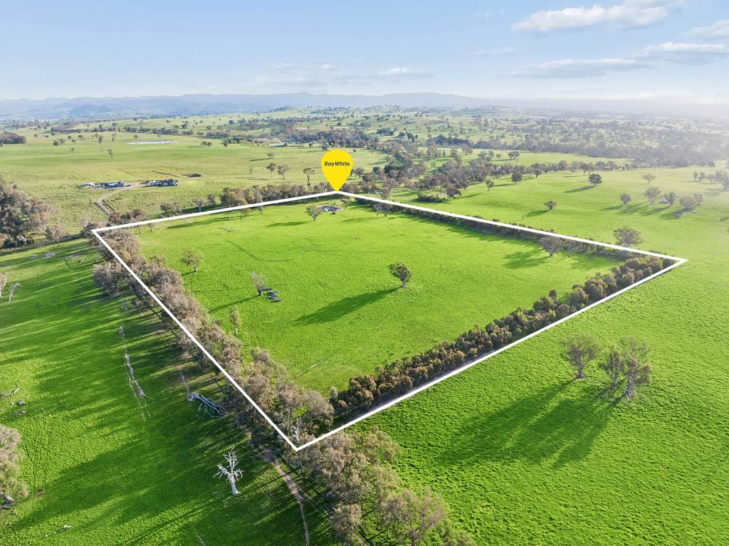 "Yellowbox", 606 Longrail Gully Road, Murrumbateman NSW 2582