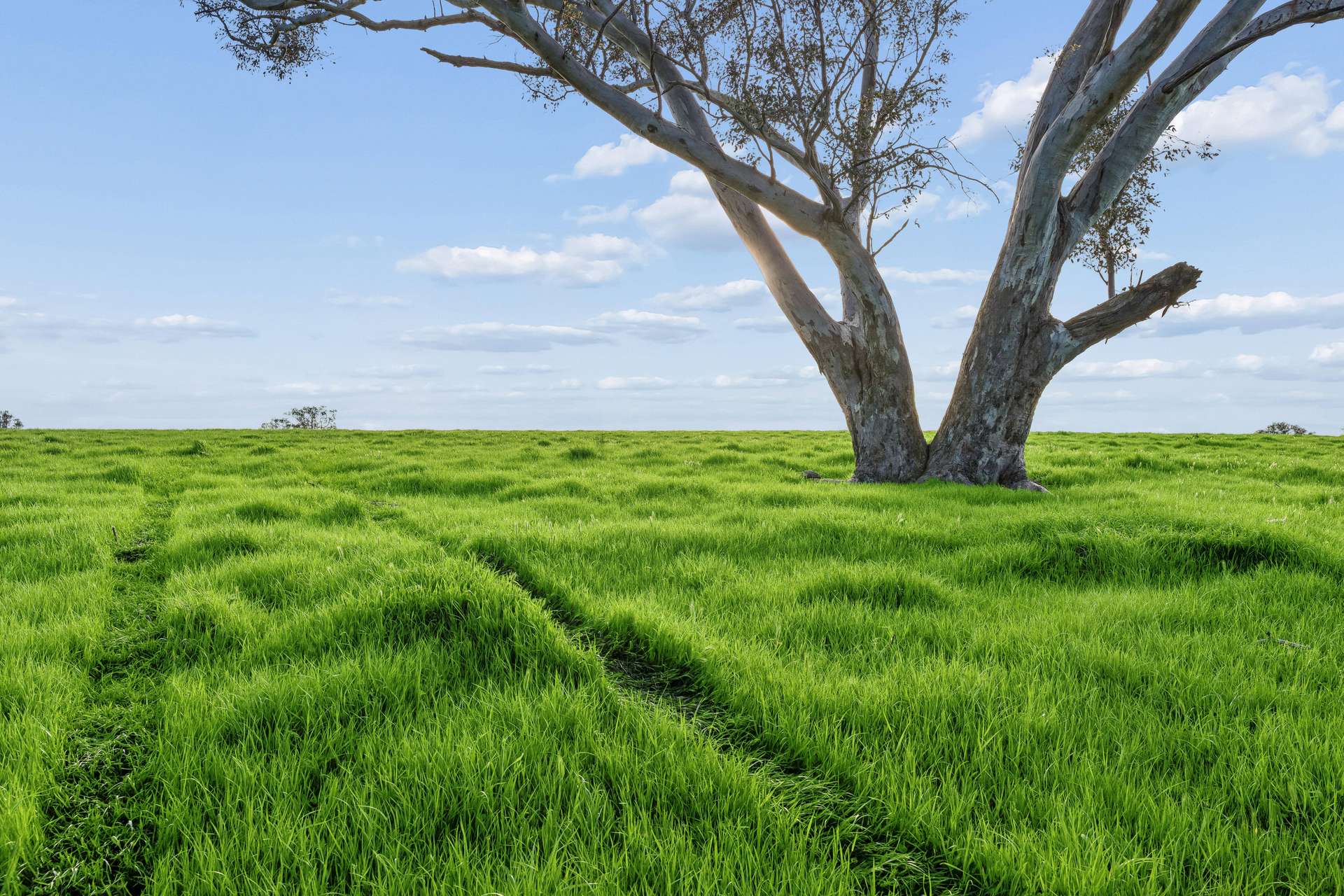 "Yellowbox", 606 Longrail Gully Road, Murrumbateman Auction by Farmbuy.com - image 18