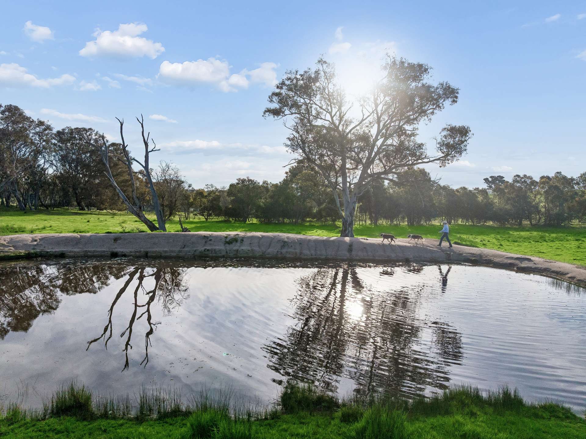 "Yellowbox", 606 Longrail Gully Road, Murrumbateman Auction by Farmbuy.com - image 12