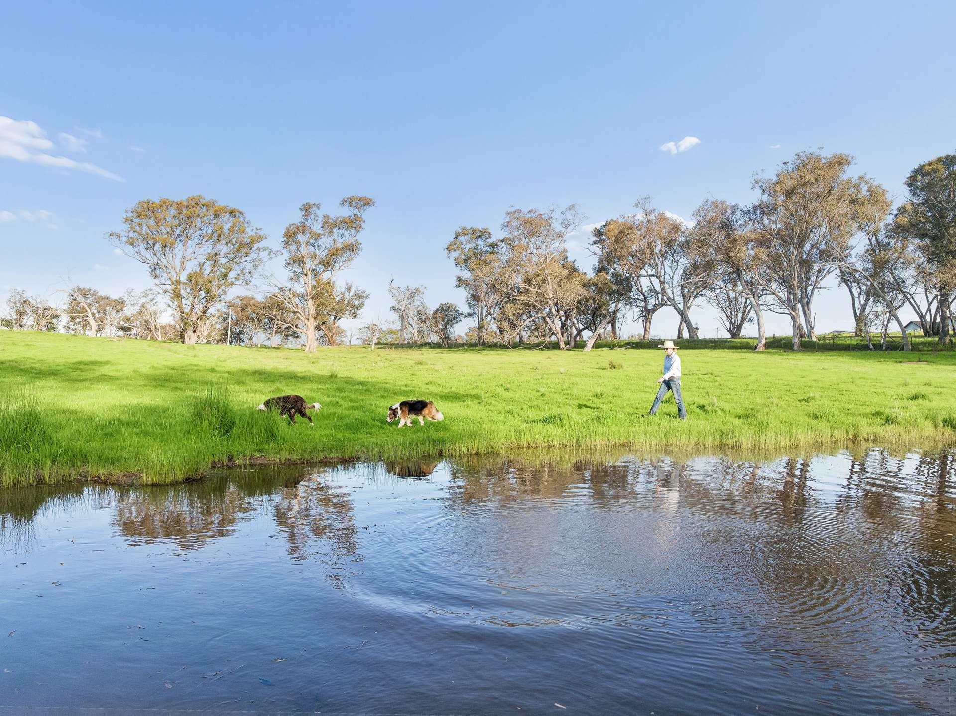 "Yellowbox", 606 Longrail Gully Road, Murrumbateman Auction by Farmbuy.com - image 2
