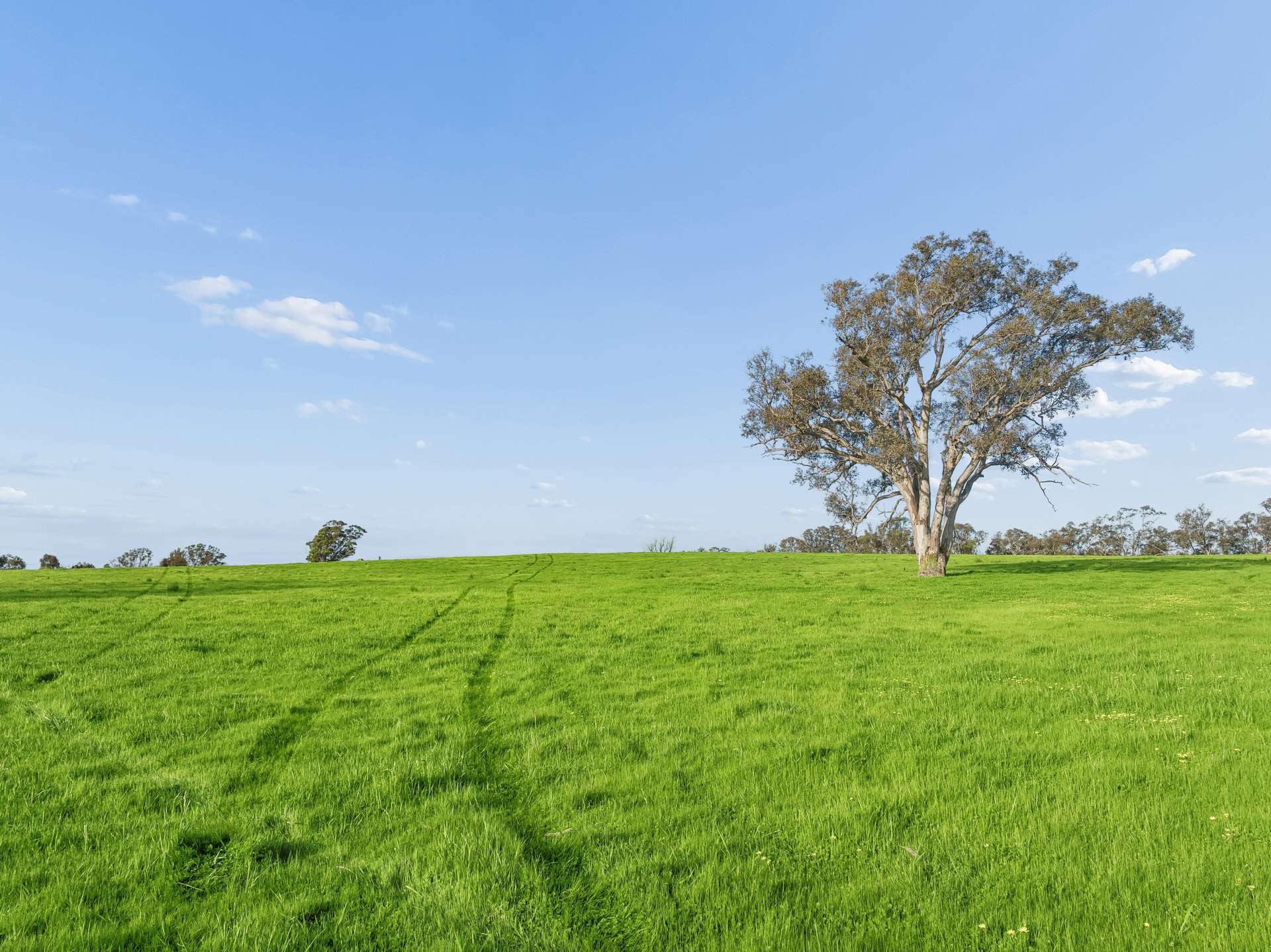 "Yellowbox", 606 Longrail Gully Road, Murrumbateman Auction by Farmbuy.com - image 5