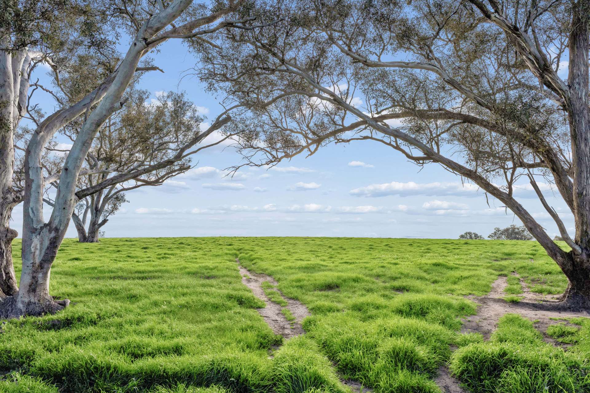 "Yellowbox", 606 Longrail Gully Road, Murrumbateman Auction by Farmbuy.com - image 23