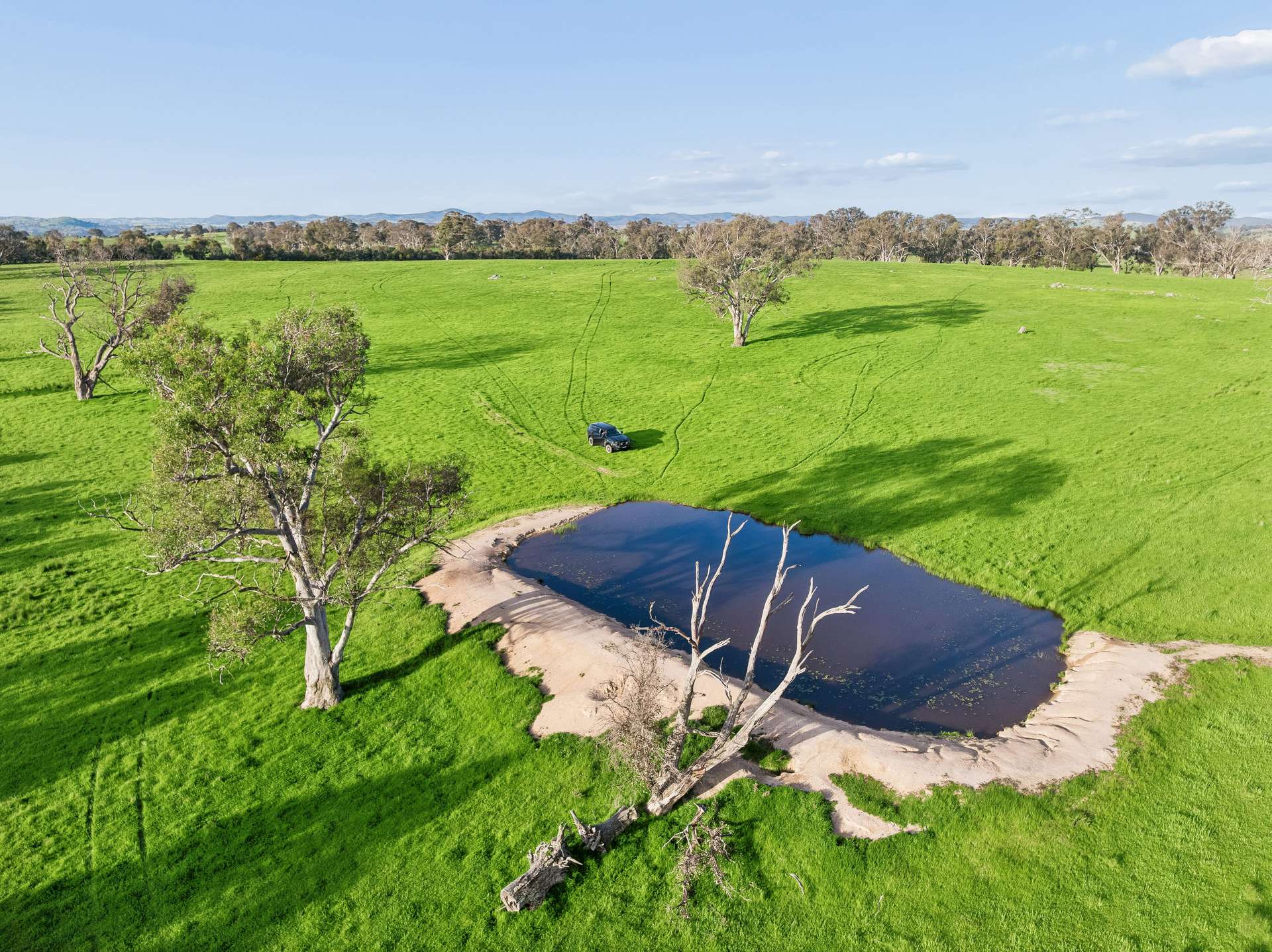 "Yellowbox", 606 Longrail Gully Road, Murrumbateman Auction by Farmbuy.com - image 8