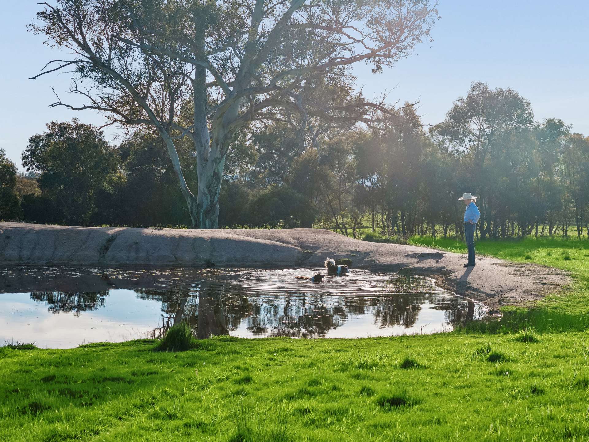 "Yellowbox", 606 Longrail Gully Road, Murrumbateman Auction by Farmbuy.com - image 11