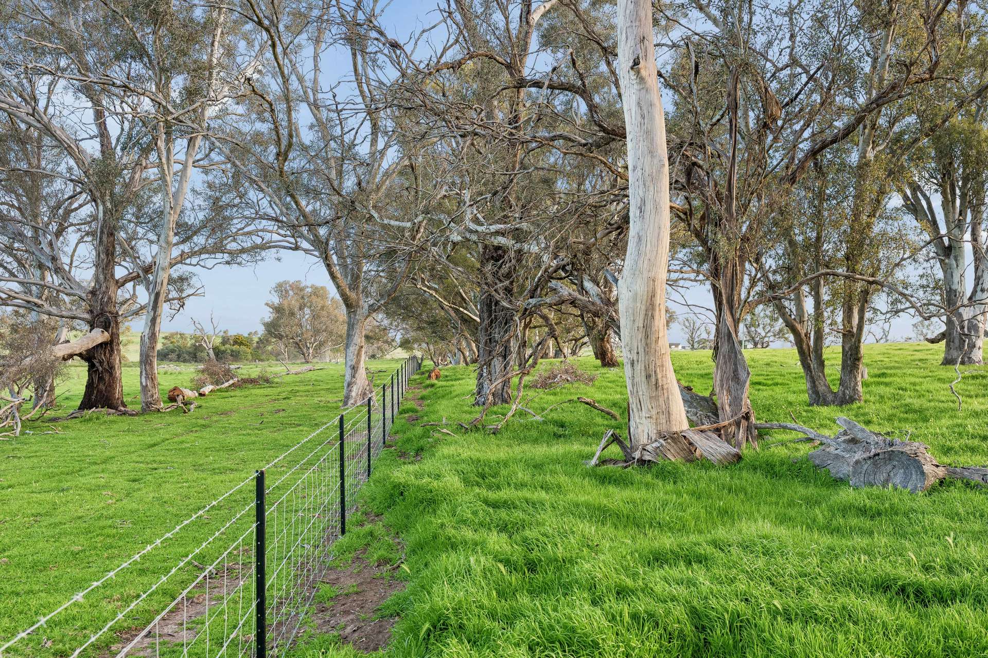 "Yellowbox", 606 Longrail Gully Road, Murrumbateman Auction by Farmbuy.com - image 21