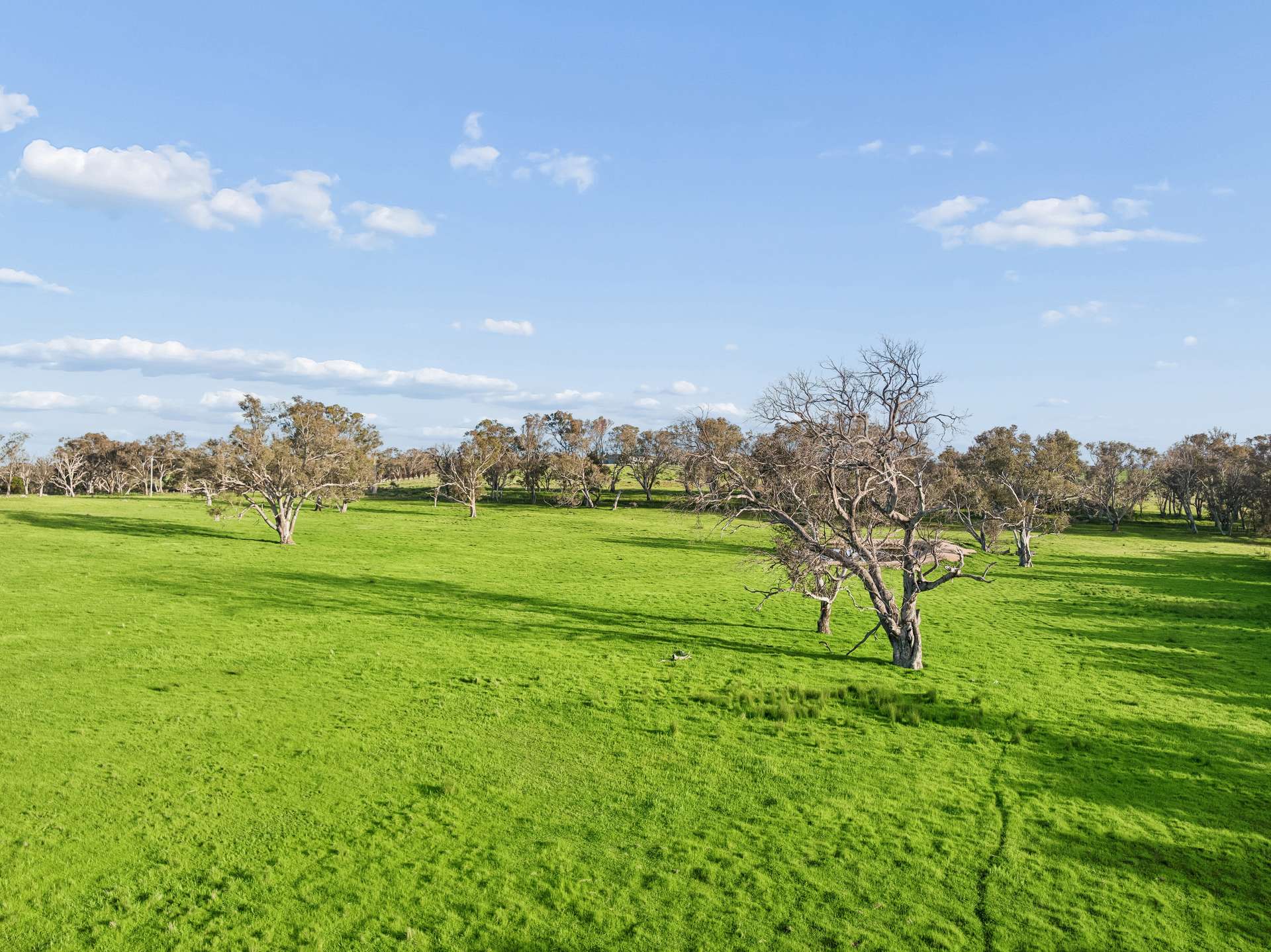 "Yellowbox", 606 Longrail Gully Road, Murrumbateman Auction by Farmbuy.com - image 15
