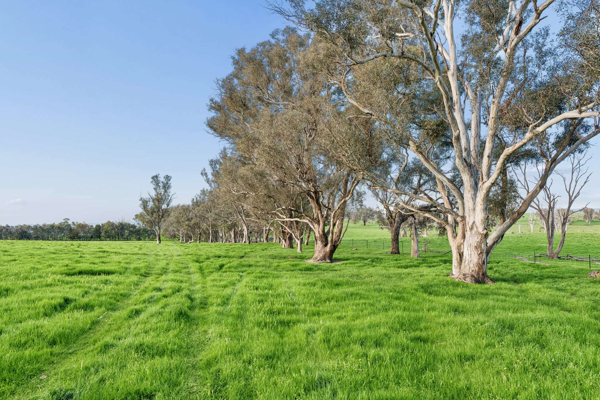"Yellowbox", 606 Longrail Gully Road, Murrumbateman Auction by Farmbuy.com - image 19